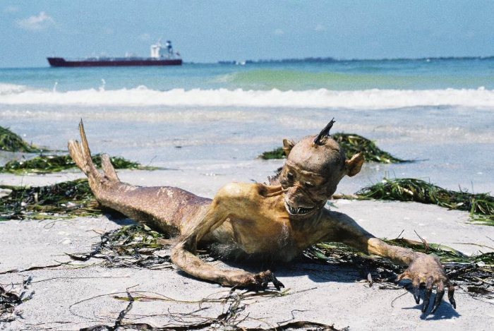 Sereias são seres mitológicos, parte mulher e parte peixe. É provável que esse mito tenha tido origem em relatos da existência de animais com características próximas daquela que, mais tarde foram classificados como sirénios. Mas sereias não existem e, você pode ter certeza de que nunca vai ver uma.