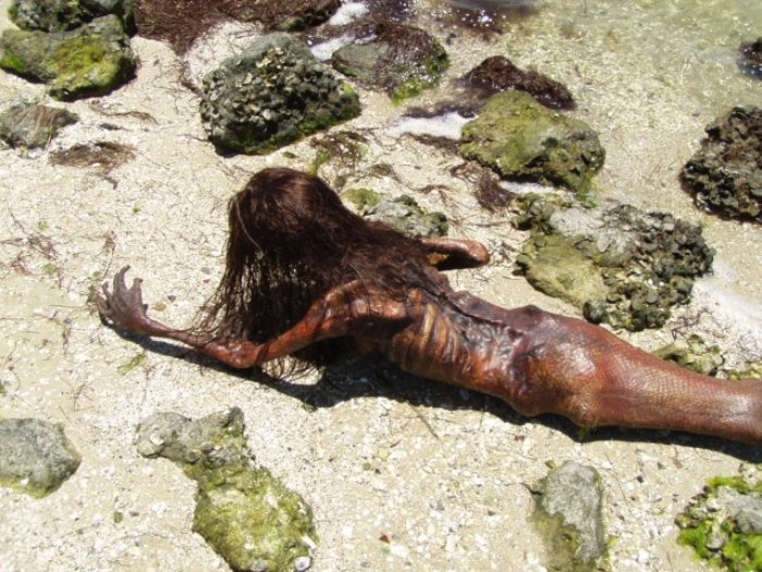 Sereias são seres mitológicos, parte mulher e parte peixe. É provável que esse mito tenha tido origem em relatos da existência de animais com características próximas daquela que, mais tarde foram classificados como sirénios. Mas sereias não existem e, você pode ter certeza de que nunca vai ver uma.