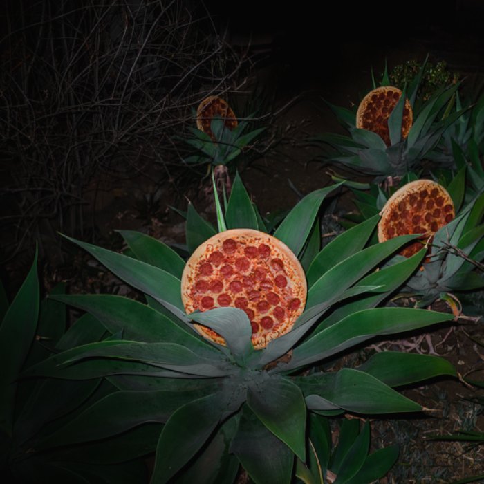 Pizza In the Wild 06