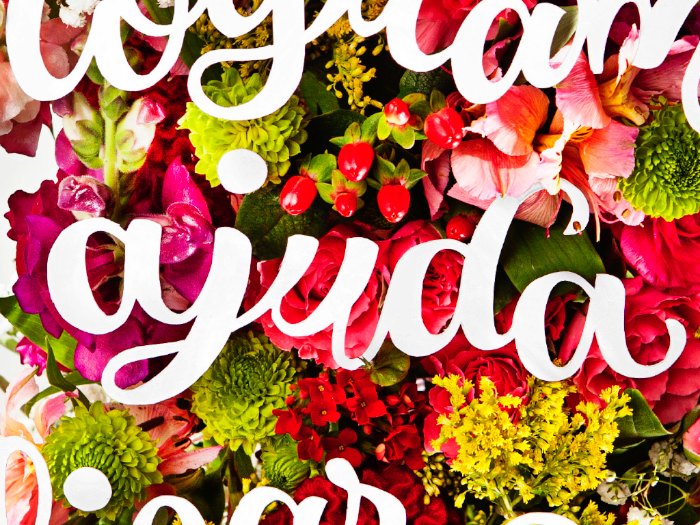 Sou fã do trabalho de tipografia e lettering de Marina Chaccur tem anos e acredito que preciso publicar mais dos seus trabalhos por aqui. Começo essa mudança com o projeto Autoconfiança que ela ajudou a criar para a revista Bons Fluidos. A designer e tipógrafa Marina Chaccur foi a responsável pelo lettering que você vê na fotos abaixo sobrepostos sobre as flores e, nas fotos abaixo, você ainda pode ver algumas imagens do processo de corte e desenhos das letras. Mas quem criou todo o conceito e a direção de arte foi a Fernanda Didini.