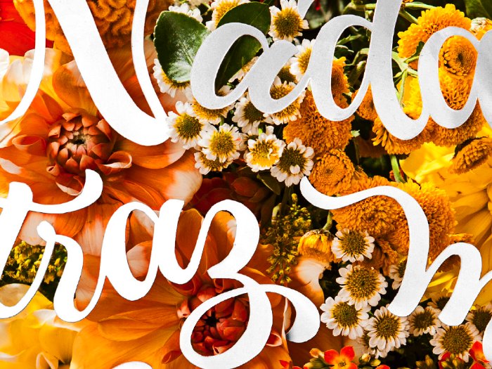 Sou fã do trabalho de tipografia e lettering de Marina Chaccur tem anos e acredito que preciso publicar mais dos seus trabalhos por aqui. Começo essa mudança com o projeto Autoconfiança que ela ajudou a criar para a revista Bons Fluidos. A designer e tipógrafa Marina Chaccur foi a responsável pelo lettering que você vê na fotos abaixo sobrepostos sobre as flores e, nas fotos abaixo, você ainda pode ver algumas imagens do processo de corte e desenhos das letras. Mas quem criou todo o conceito e a direção de arte foi a Fernanda Didini.