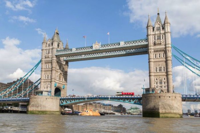Florentijn Hofman, o homem responsável por aquele pato de borracha gigante, volta as notícias com seu hipopótamo gigante que está atravessando Londres no meio do Tâmisa.