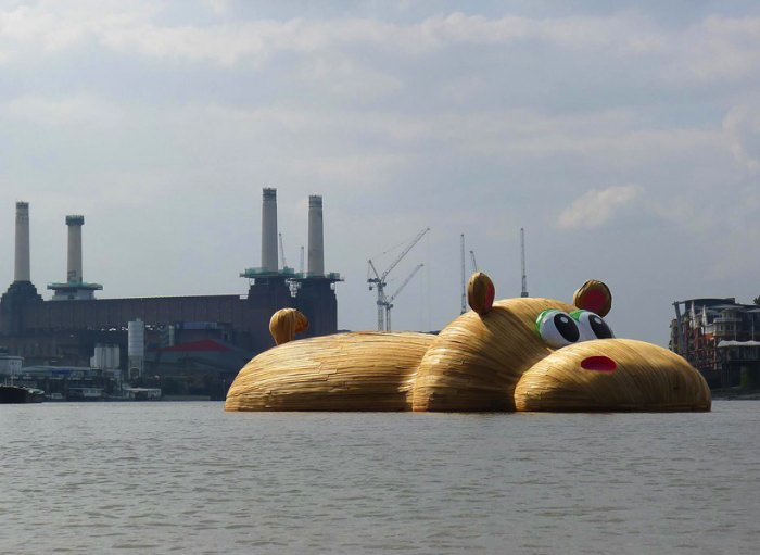 Florentijn Hofman, o homem responsável por aquele pato de borracha gigante, volta as notícias com seu hipopótamo gigante que está atravessando Londres no meio do Tâmisa.