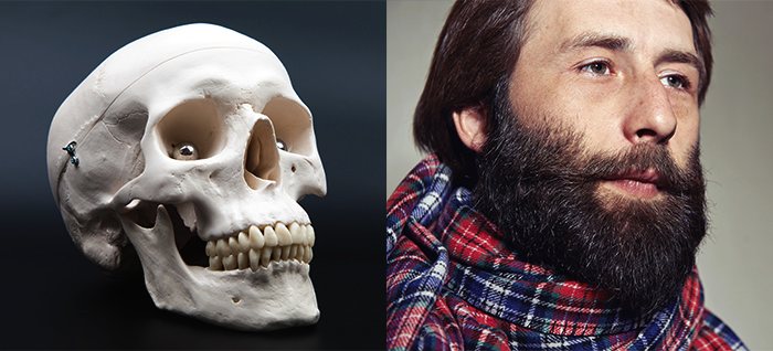 Too Beard or Not Too Beard do Sergey Egorov