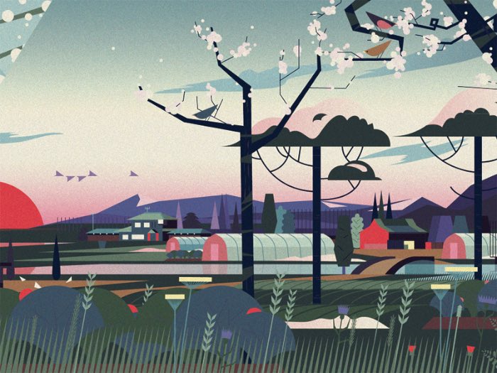 Cruschiform Fukushima 06