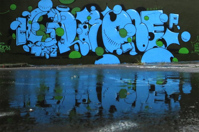 GRIS1 02