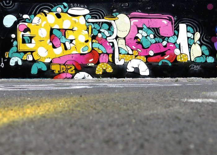 GRIS1 05