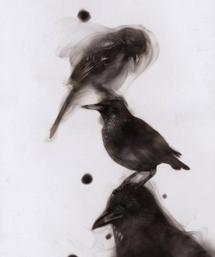 Steven Spazuk é um artista canadense que usa do fogo para desenhar. As ilustrações que ele cria são feitas com a fumaça que surge enquanto ele queima uma vela ou massarico. E, depois de todo esse processo, ele finaliza os desenhos usando penas e lápis.