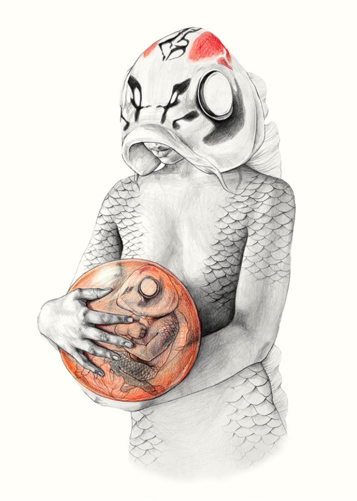 Metamorfish-Elisa Ancori 01