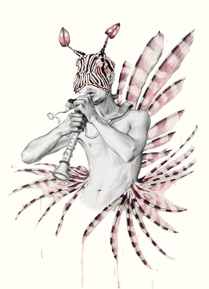 Metamorfish-Elisa Ancori 06
