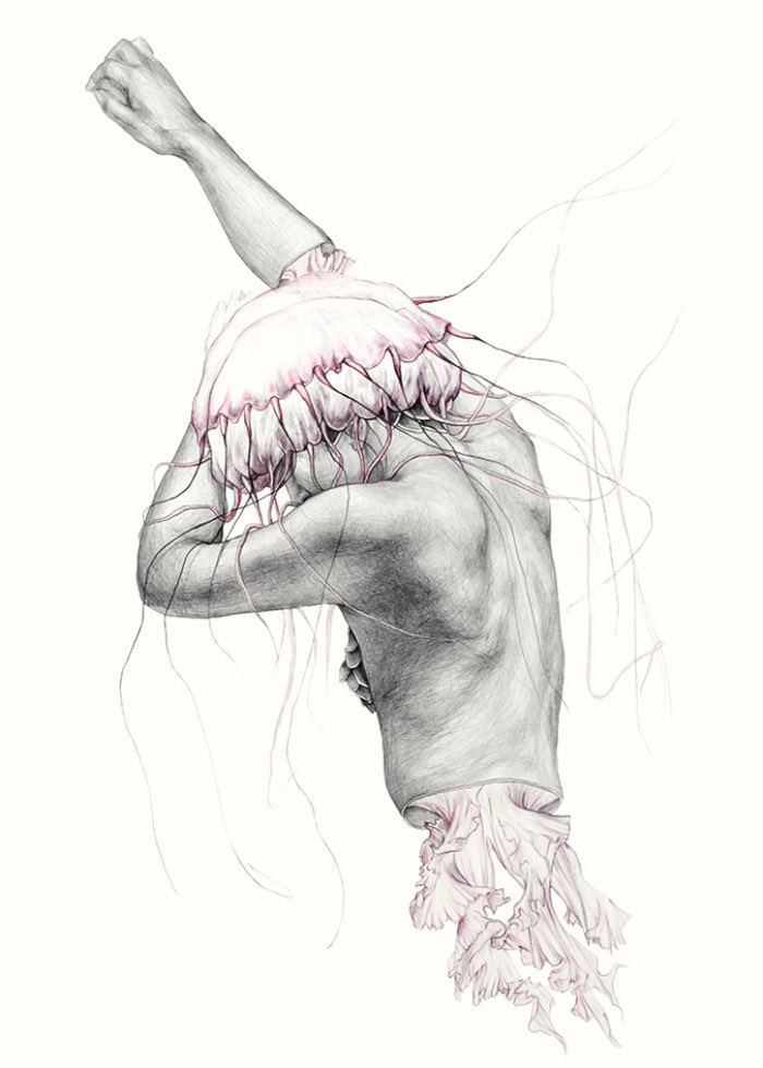 Metamorfish-Elisa Ancori 08