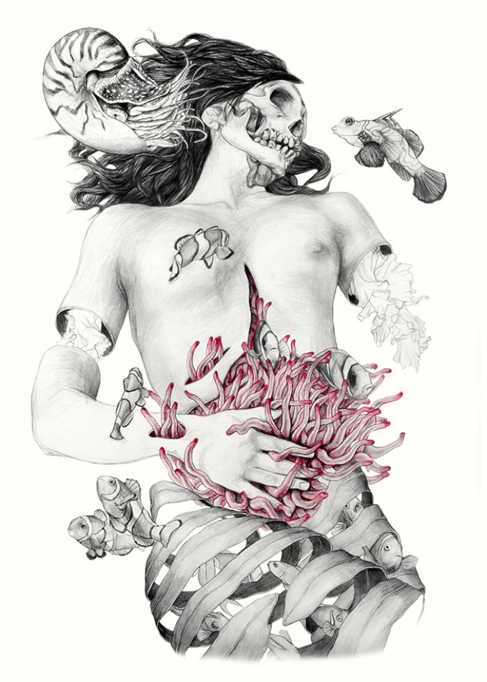 Metamorfish-Elisa Ancori 09