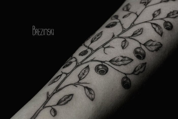 Brezinski Ilya 08