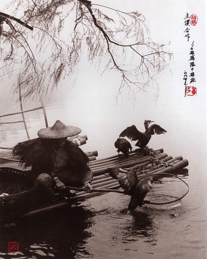 Don Hong-Oai nasceu na China em 1929 e passou grande parte da sua vida morando no Vietnã. Foi ainda garoto que ele começou a trabalhar com fotografia em Saigon. E, quando ele não estava trabalhando como assistente de fotografia, ele viajava e fotografava tudo que via. Durante a Guerra do Vietnã, ele permaneceu no país mas acabou imigrando para a Califórnia em 1979.