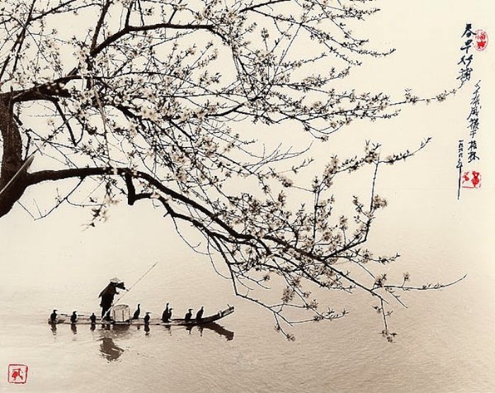 Don Hong-Oai nasceu na China em 1929 e passou grande parte da sua vida morando no Vietnã. Foi ainda garoto que ele começou a trabalhar com fotografia em Saigon. E, quando ele não estava trabalhando como assistente de fotografia, ele viajava e fotografava tudo que via. Durante a Guerra do Vietnã, ele permaneceu no país mas acabou imigrando para a Califórnia em 1979.