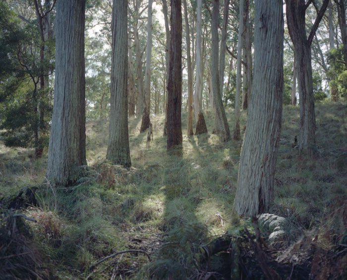 William James Broadhurst 04