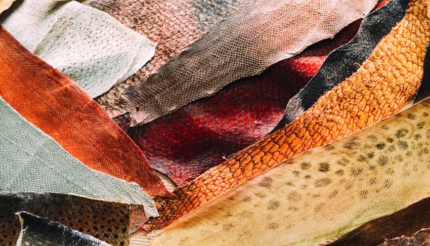 Galateia Couro de Peixe 03
