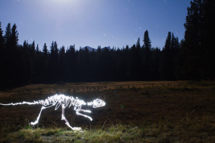Darren Pearson usa da sua câmera e de uma lanterna para pintar com luz. E, com isso, ele imagina um mundo diferente repleto de estranhas criaturas vivendo no meio de cidades. De dinossauros a caveiras feitas usando pedaços de prédios, passando por bonsais iluminados e esqueletos que dançam, esse é o mundo iluminado que Darren Pearson cria com suas fotos e vídeos.