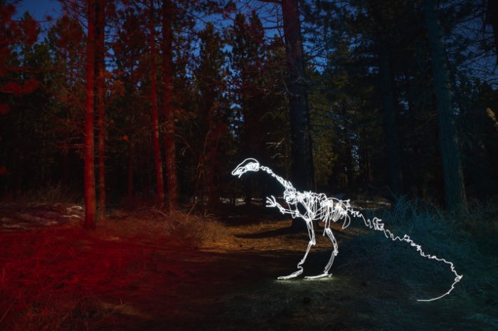 Darren Pearson usa da sua câmera e de uma lanterna para pintar com luz. E, com isso, ele imagina um mundo diferente repleto de estranhas criaturas vivendo no meio de cidades. De dinossauros a caveiras feitas usando pedaços de prédios, passando por bonsais iluminados e esqueletos que dançam, esse é o mundo iluminado que Darren Pearson cria com suas fotos e vídeos.