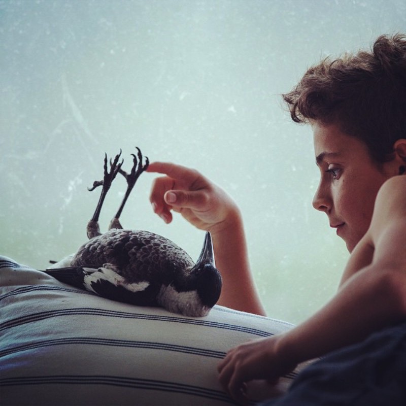 Cameron Bloom é o fotógrafo que mantêm um instagram onde ele mostra a quase mágica amizade entre um pássaro e um garoto, seu filho Noah.