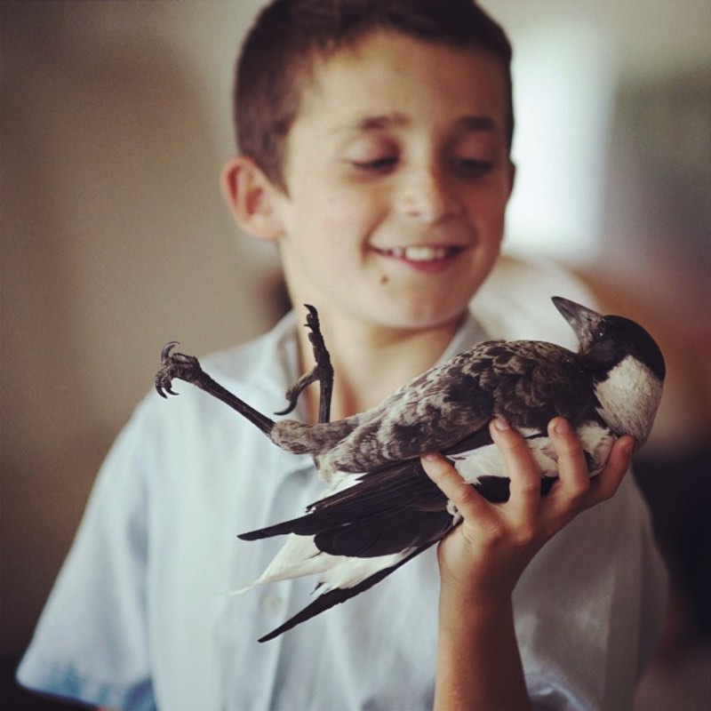 Cameron Bloom é o fotógrafo que mantêm um instagram onde ele mostra a quase mágica amizade entre um pássaro e um garoto, seu filho Noah.