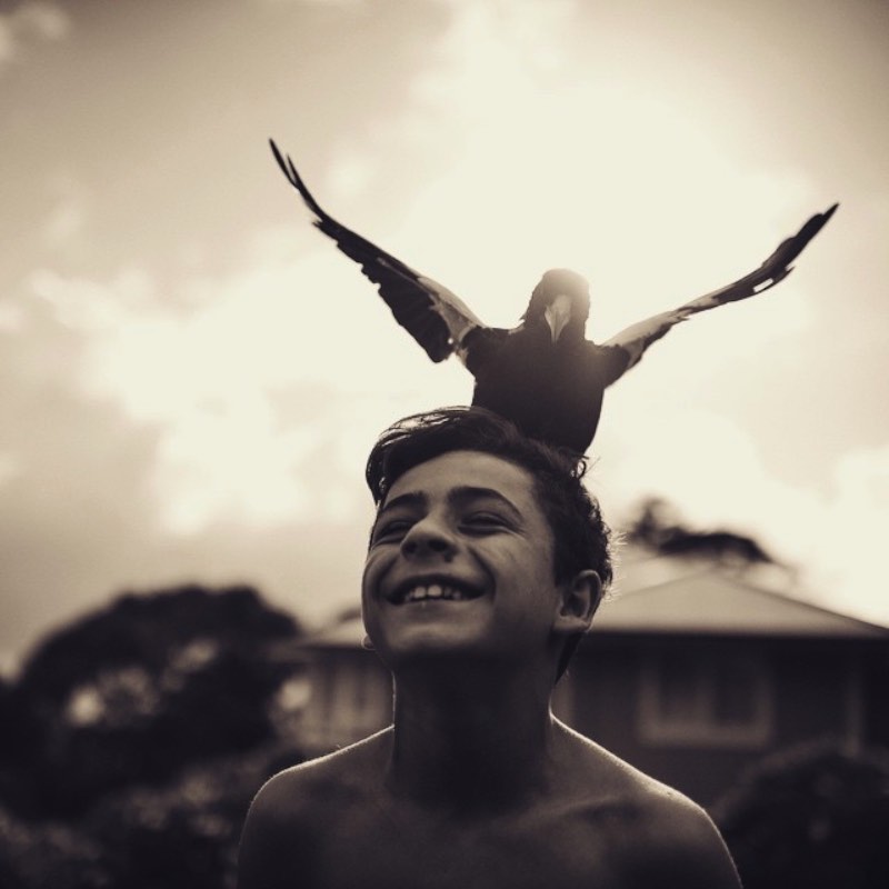 Cameron Bloom é o nome do fotógrafo que mantêm um dos melhores perfis que já vi no instagram. Lá ele mostra a quase mágica amizade entre um pássaro e um garoto, seu filho Noah.