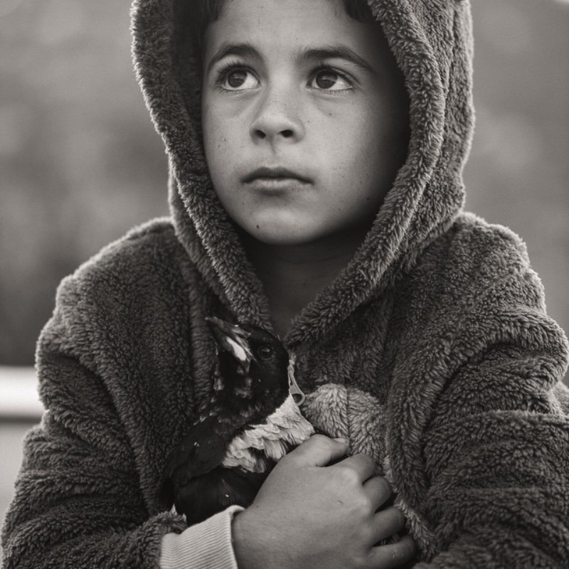 Cameron Bloom é o nome do fotógrafo que mantêm um dos melhores perfis que já vi no instagram. Lá ele mostra a quase mágica amizade entre um pássaro e um garoto, seu filho Noah.