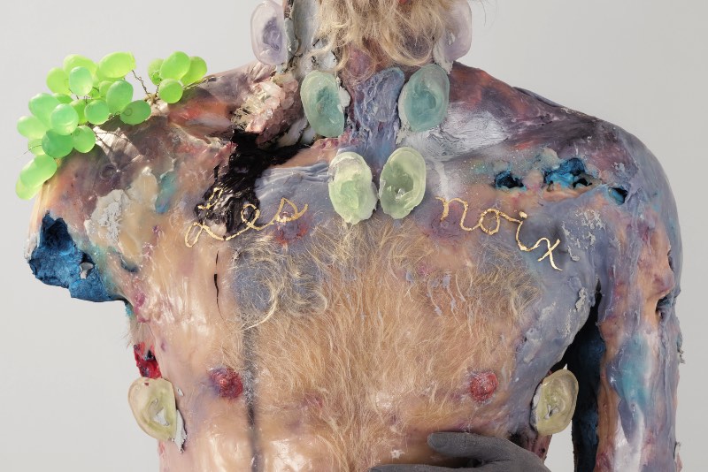David Altmejd nasceu em Montreal em 1974 e parece ser fascinado por objetos que crescem, se transformam e mudam de forma. É assim que ele trabalha com suas esculturas e, dessa forma, ele remove todas as fronteiras entre o que seria o exterior, o interior, a superfície e a estrutura das suas esculturas.