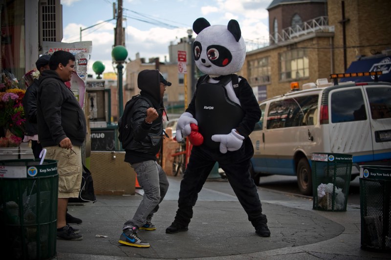 Nate Hill - Punch me Panda