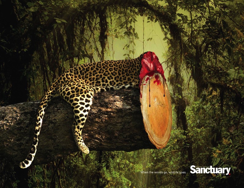 Preciso dizer, antes de tudo, que as imagens abaixo, criadas para Sanctuary Asia, são bem fortes e elas foram feitas dessa forma para mostrar a importância da mensagem. Afinal, é isso que acontece todos os dias nas florestas desmatadas do mundo.
