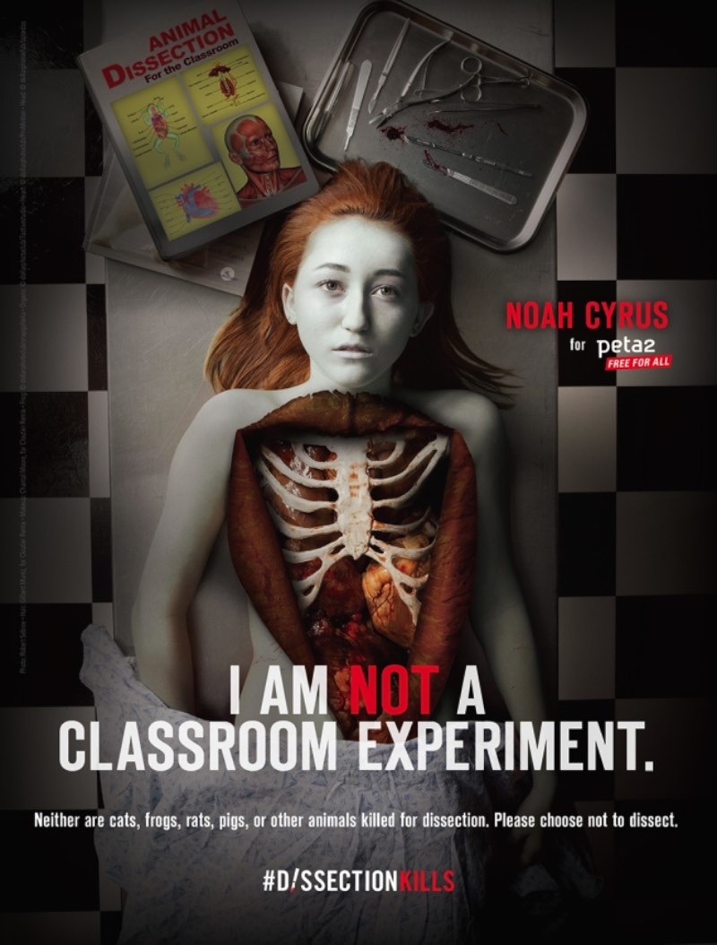 Para a campanha que vai ficar conhecida pelo hashtag #DissectionKills, a PETA colocou Noah Cyrus numa mesa de dissecção para salvar animais.