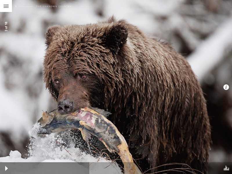 Marshall Lorenzo é o nome do designer responsável pelo Wild Canada, um app para iOS que serve para complementar uma série de documentários da CBC chamado Wild Canada. Esse documentário, narrado por David Suzuki, faz parte da área de ciências da CBC e explora a história natural do Canadá. O programa foca na vida selvagem, no clima e o impacto desse fator nas áreas mais remotas do país. Além disso, o app ainda ilustra o tema com fantásticas fotografias de paisagens espetaculares. Você precisa baixar o Wild Canada da CBC.