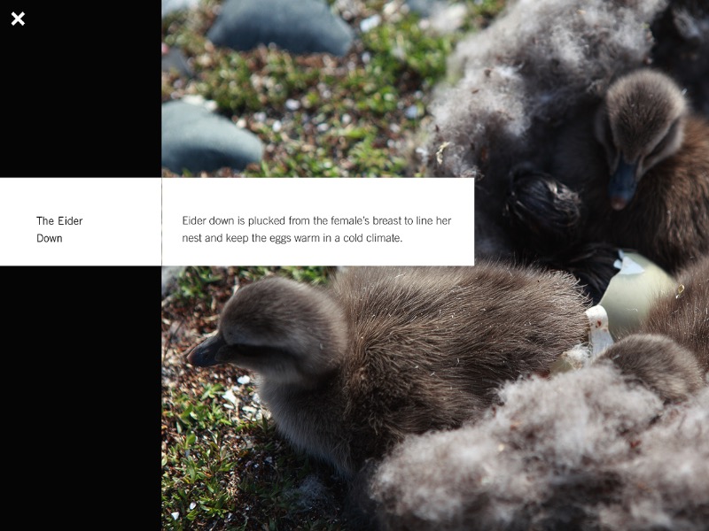 Marshall Lorenzo é o nome do designer responsável pelo Wild Canada, um app para iOS que serve para complementar uma série de documentários da CBC chamado Wild Canada. Esse documentário, narrado por David Suzuki, faz parte da área de ciências da CBC e explora a história natural do Canadá. O programa foca na vida selvagem, no clima e o impacto desse fator nas áreas mais remotas do país. Além disso, o app ainda ilustra o tema com fantásticas fotografias de paisagens espetaculares. Você precisa baixar o Wild Canada da CBC.