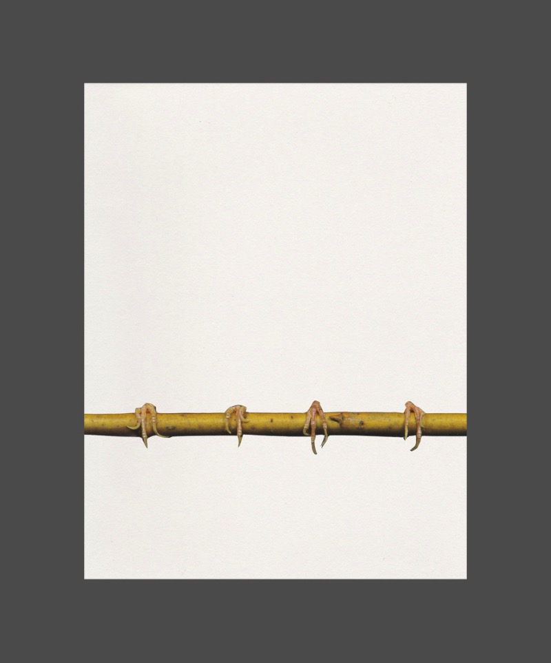 Jorge Chamorro é um designer gráfico, professor e artista nascido em 1972, lá em Madrid. Esse artigo aqui é para mostrar seu trabalho de colagem e tenho certeza de que vocês vão virar fãs do trabalho dele.