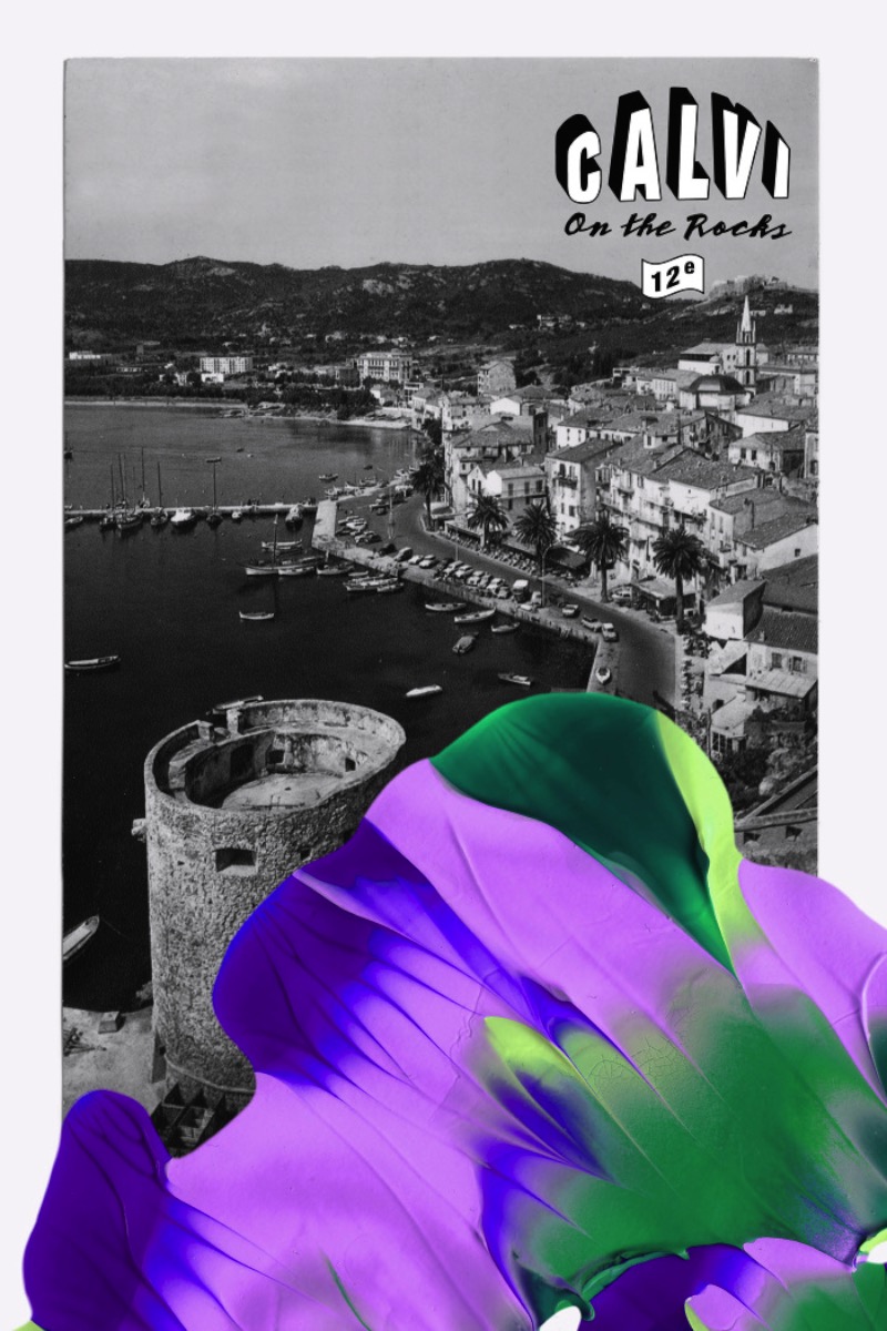 Leslie David é uma designer gráfica, diretora de arte e ilustradora que vive e trabalha em Paris. Depois de estudar arte na Les Arts décoratifs de Strasbourg, ela acabou fundando seu próprio estúdio de design e é lá que ela trabalha desde 2009.