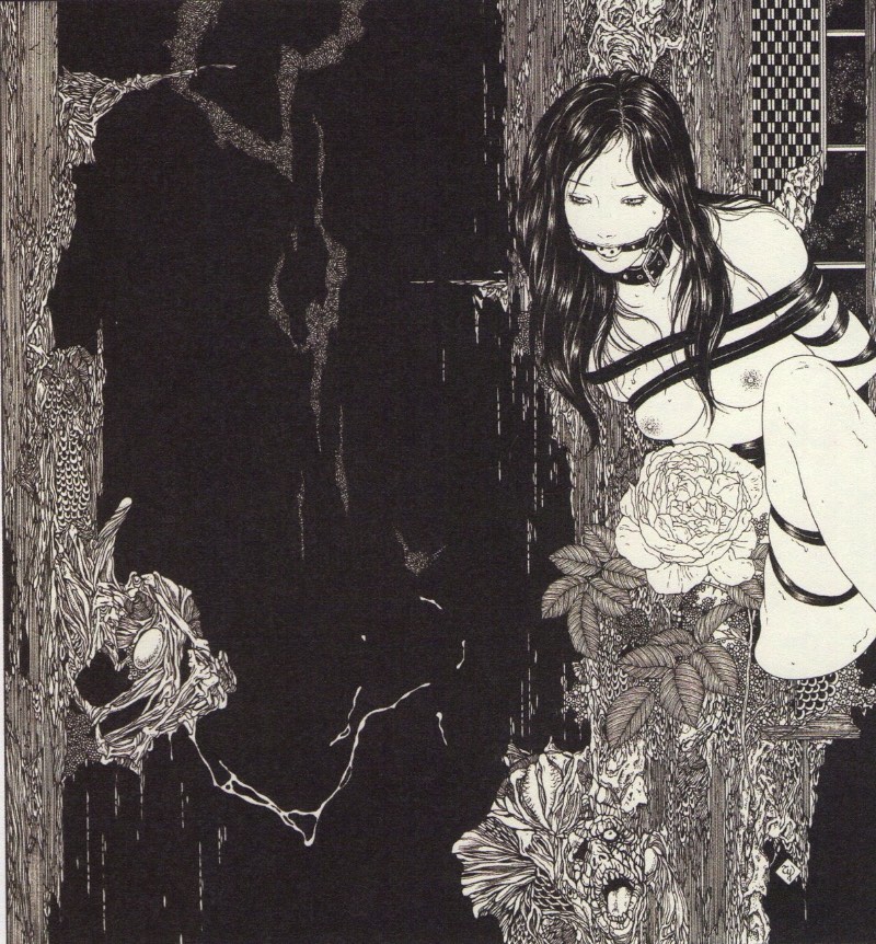 A Arte de Takato Yamamoto poderia ser descrita como uma brilhante mistura de ilustração, sexo e violência. Os traços de Takato Yamamoto mostram jovens mulheres de visual asiático em momentos de uma serenidade que será perturbada por uma narrativa perturbadora. 