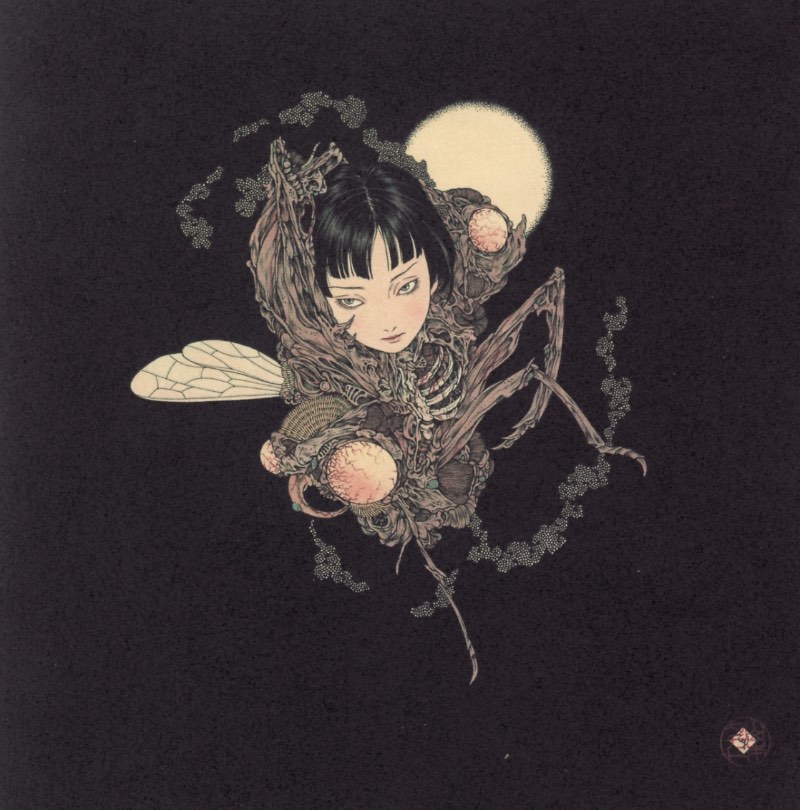 A Arte de Takato Yamamoto poderia ser descrita como uma brilhante mistura de ilustração, sexo e violência. Os traços de Takato Yamamoto mostram jovens mulheres de visual asiático em momentos de uma serenidade que será perturbada por uma narrativa perturbadora. 