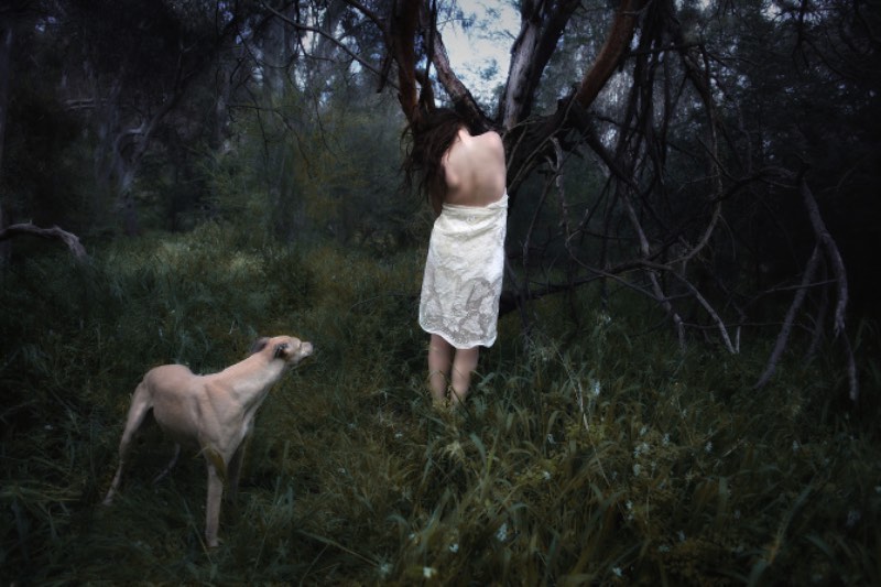 Quando Jessica Tremp era criança, ela costumava sonhar que cresceria para ser uma dançarina. Ou que aprenderia a voar e a falar a língua dos animais da floresta. Nada disso se tornou verdade mas ela parece conseguir fazer isso com sua câmera.  Afinal, o portfólio de fotografia de Jessica Tremp é para lá de criativo e repleto de retratos, auto retratos, fotos de viagem e projetos comerciais. 