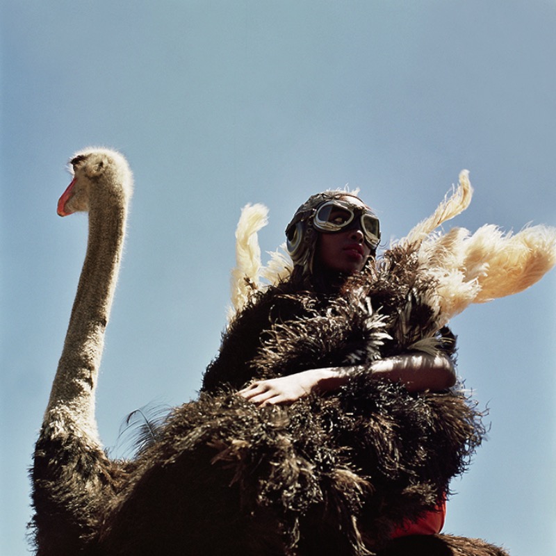 Annelie Vandendael é uma fotógrafa belga que parece odiar a forma com a qual a fotografia de moda de hoje em dia trata as modelos e as transforma em manequins sem vida. Foi isso que me atraiu no seu trabalho de fotografia. A forma com a qual ele usa da sua câmera para mostrar algo e, até mesmo, contar uma história. 