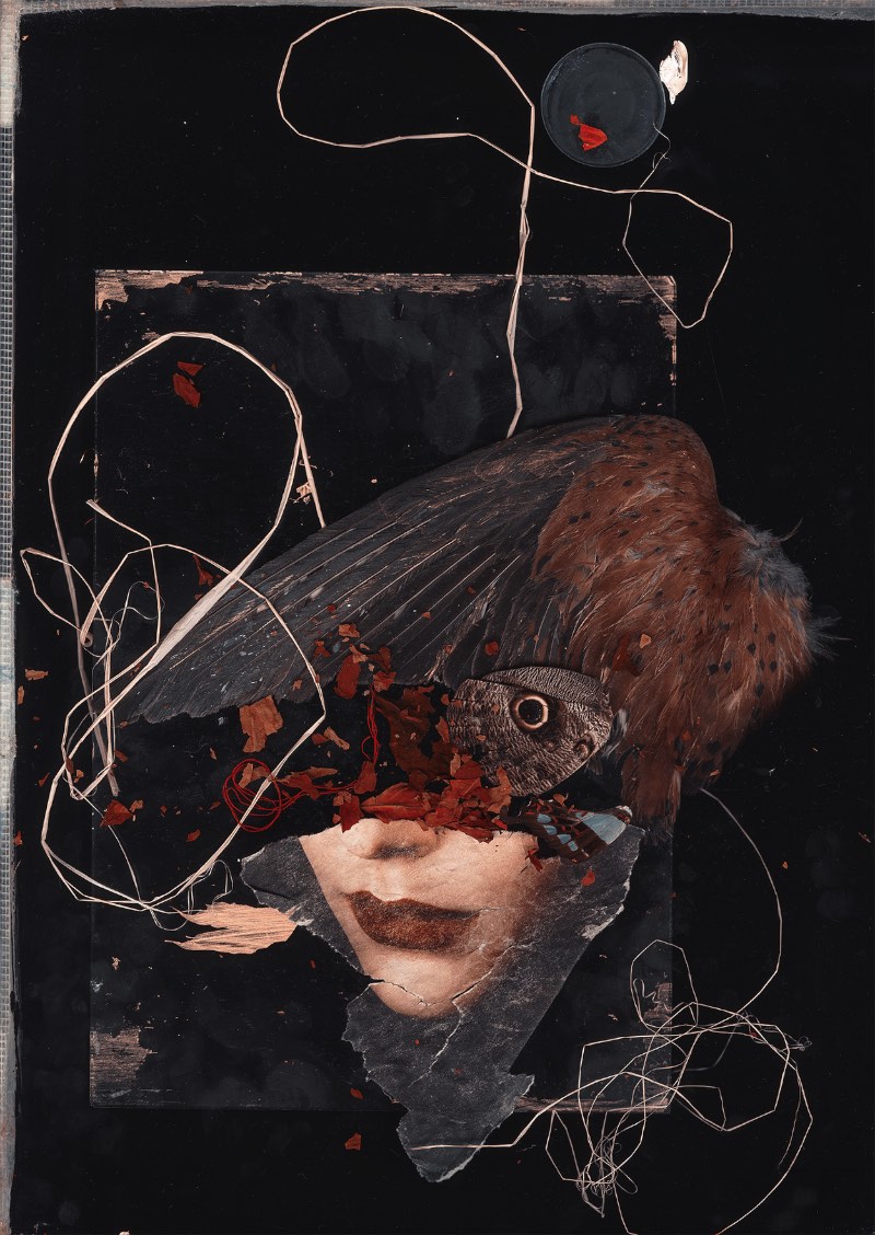 É fácil se perder nos detalhes das colagens e pinturas de John Leigh, mais conhecido online pelo seu pseudônimo Karborn. O artista baseado em Londres trabalha misturando elementos orgânicos com processos digitais e cria colagens cheias de detalhes e histórias. Nas imagens abaixo você vai ver algumas imagens selecionadas direto do seu portfólio online. Se você gostar do que vê, não se esqueça de dar uma passada na loja online dele para, quem sabe, adquirir algumas das suas belíssimas peças.