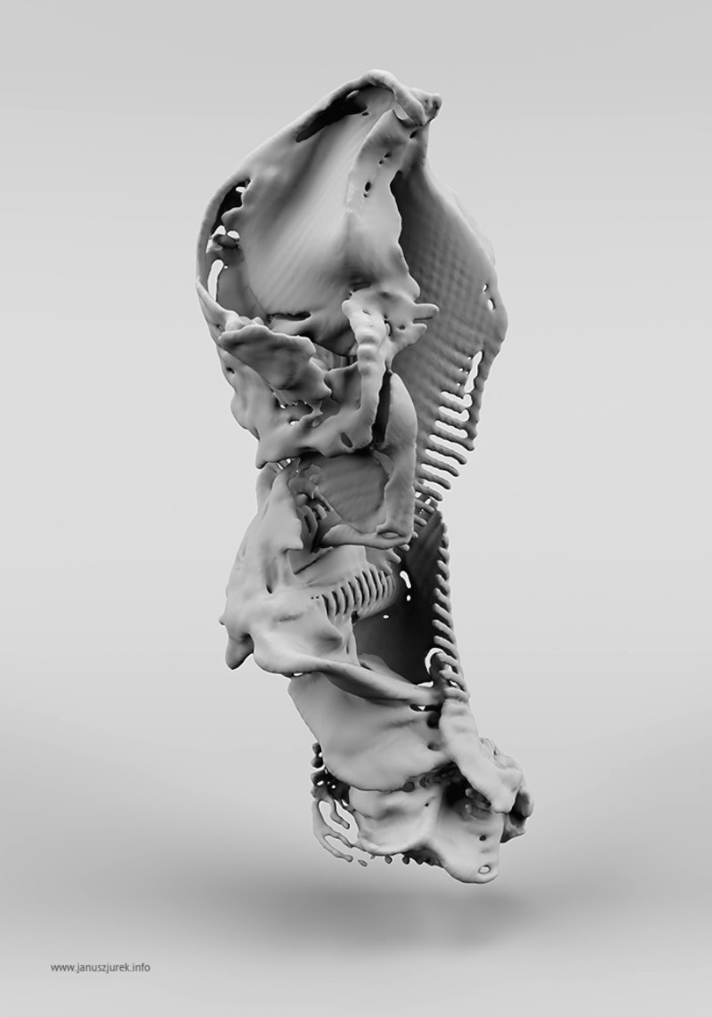Janusz Jurek é um designer e artista polonês cujo trabalho mistura renderizações tridimensionais abstratas com design gráfico. Criando assim um visual bem diferente e para lá de interessante. O que mais me chamou a atenção no trabalho do Janusz Jurek foi a forma com a qual ele trabalha com suas estranhas renderizações e usa delas para criar formas na frente dos nossos olhos. 