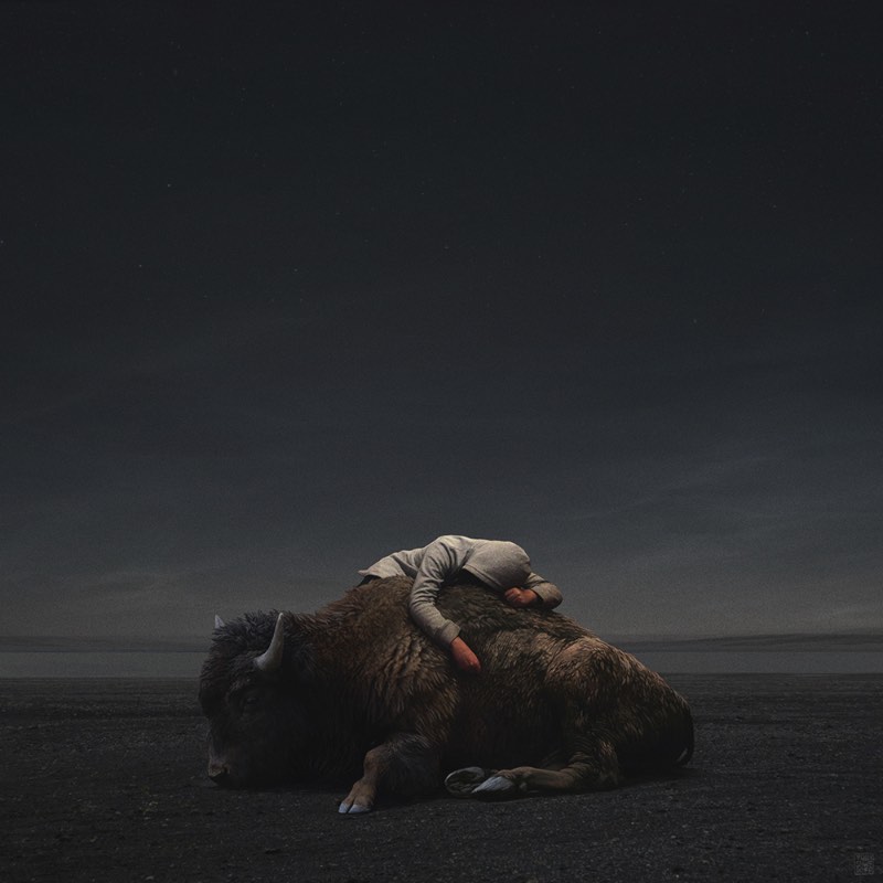 Yuri Shwedoff é um artista digital baseado em Moscou cujo trabalho é repleto de paisagens dramáticas repletas de uma temática pós apocalíptica. E, essas paisagens e cenários misturam uma temática de ficção científica onde a tecnologia e a biologia parecem andar de mãos dadas.