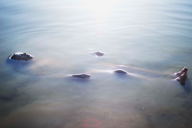 Greg Ponthus fotografa paisagens que mais lembram sonhos e que demonstram a vulnerabilidade de tudo ao nosso redor. Essa fragilidade pode ser vista nas expressões das pessoas nas fotos ou na emoção que ele tenta passar nas suas fotos. Fotografias essas que apresentam, quase sempre, um visual etéreo com cores e iluminação acompanhando o tema.