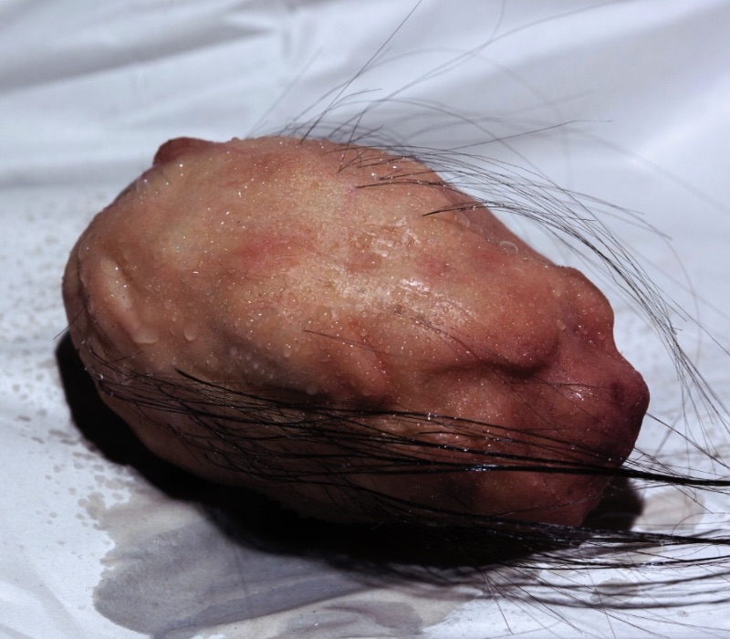 Sarah Sitkin é uma artista de Los Angeles com um trabalho escultural para lá de bizarro. E isso acontece em parte pela criatividade da artista e pelos materiais que ela usa. A mistura de silicone, resina e latex cria objetos de uma textura quase humana que transformam suas esculturas em algo que assustaria muita gente.