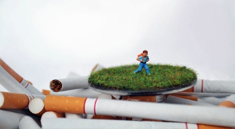 A artista canadense Jesse Bromm cria estranhas e subversivas paisagens em miniatura que usam uma combinação de pedaços de animais, vidro e objetos que ela encontra por ai. Através da mistura desses elementos, ela tenta criar um diálogo entre como vemos a realidade e o que realmente existe por trás de tudo isso. 