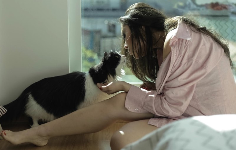 Eli Firmeza é fotógrafo e resolveu criar um projeto fotográfico que misturasse gatos de estimação com as mulheres que vivem com eles. E, foi assim que surgiu o Chicks 'n' Cats, uma das séries de fotos mais interessantes que já recebemos por aqui. 