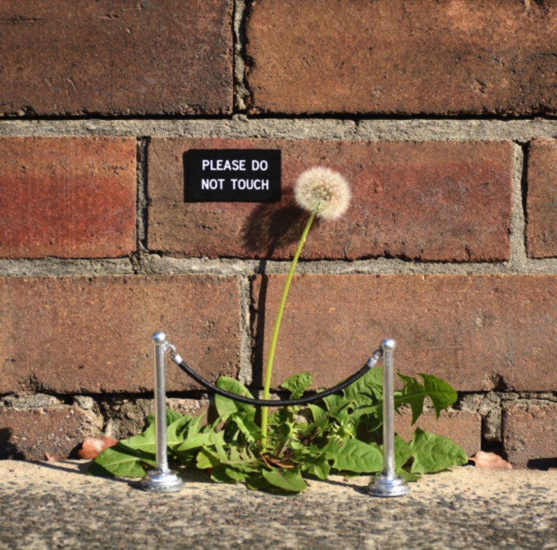 Michael Pederson é um artista australiano que cria uma série de obras de arte pelas ruas de Sydney. Essas obras são feitas de objetos do dia a dia e, normalmente, vem com uma mensagem que vá impactar os residentes da cidade de um jeito ou de outro. Particularmente, adoramos as quase oficiais placas que ele espalha pelas ruas. 