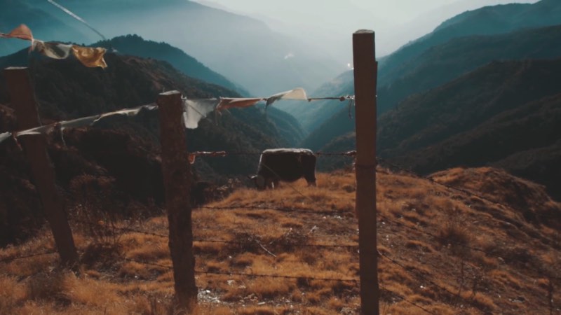 Se você é daquele tipo de pessoa que não consegue sobreviver sem uma conexão a internet, Hiking for Emails vai ser um filme de terror. Esse curta metragem dirigido por Clemens Purner, conta a história de Mahabir Pun que tinha que caminhar por quase 2 dias para conseguir chegar a uma conexão wi-fi no Nepal.