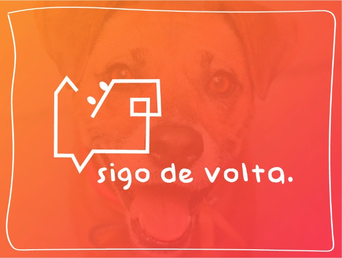 Criação de Amanda Losi, Eveline Farina e Thais Costa e desenvolvido na Miami Ad School/ESPM, o Projeto Sigo de Volta é uma ação de guerrilha no Instagram que se apropria da mania que algumas pessoas tem de seguir de volta e trocar likes e interações no aplicativo sem nunca ter conhecido ou sequer visto a pessoa. A ideia aqui foi de usar esse comportamento para mostrar quem realmente quer te seguir de volta na vida real. Para isso, foram criados perfis de animais stalkers para comentar o famoso sigo de volta em fotos de desconhecidos numa tentativa de conseguir o que esses animais mais querem: um dono para seguir. 