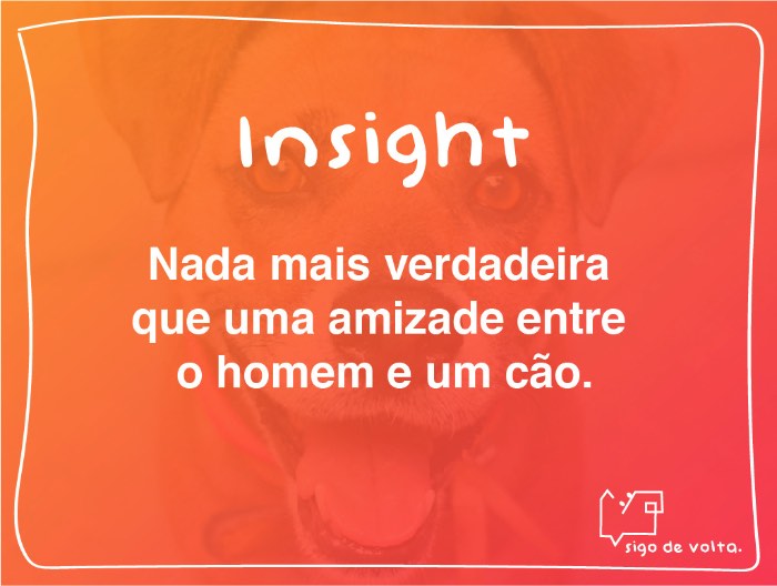Criação de Amanda Losi, Eveline Farina e Thais Costa e desenvolvido na Miami Ad School/ESPM, o Projeto Sigo de Volta é uma ação de guerrilha no Instagram que se apropria da mania que algumas pessoas tem de seguir de volta e trocar likes e interações no aplicativo sem nunca ter conhecido ou sequer visto a pessoa. A ideia aqui foi de usar esse comportamento para mostrar quem realmente quer te seguir de volta na vida real. Para isso, foram criados perfis de animais stalkers para comentar o famoso sigo de volta em fotos de desconhecidos numa tentativa de conseguir o que esses animais mais querem: um dono para seguir. 